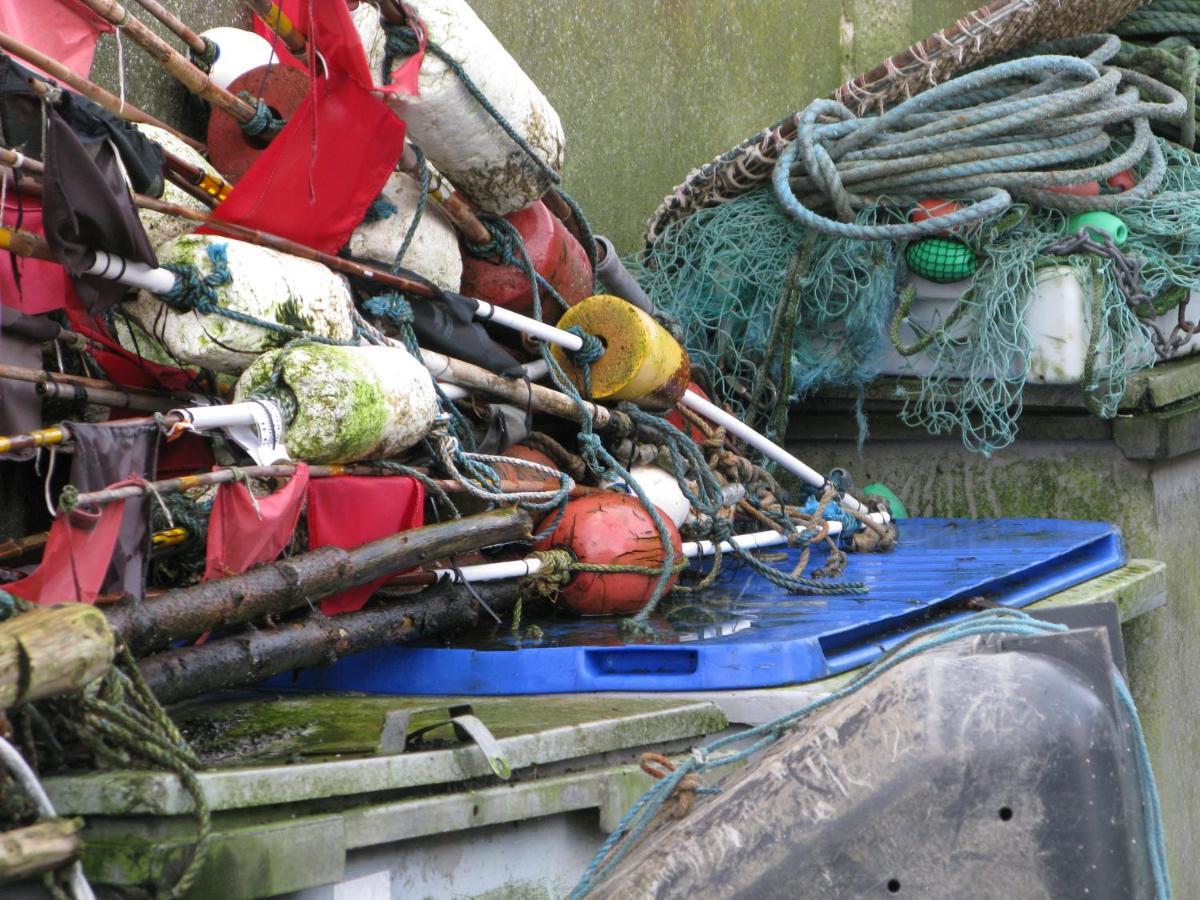 Fuglevaenget Leilighet Hundested Eksteriør bilde